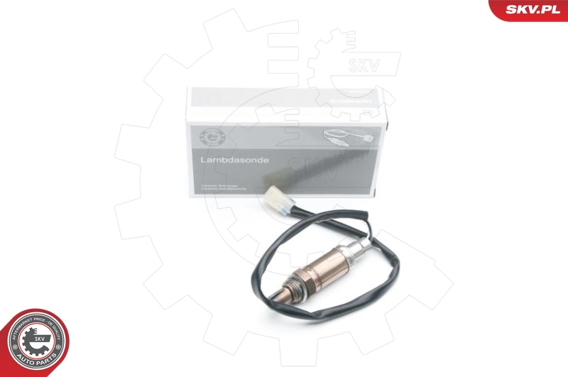 Oxygen Sensor